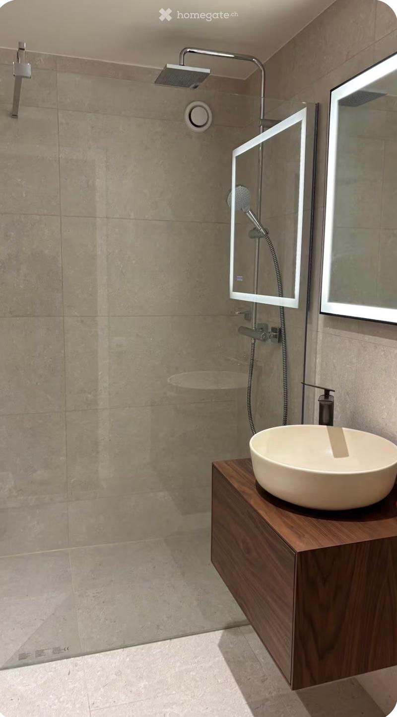 Modern bathroom with a wooden vanity, a round sink, a large mirror, and a glass-enclosed shower with a handheld sprayer.