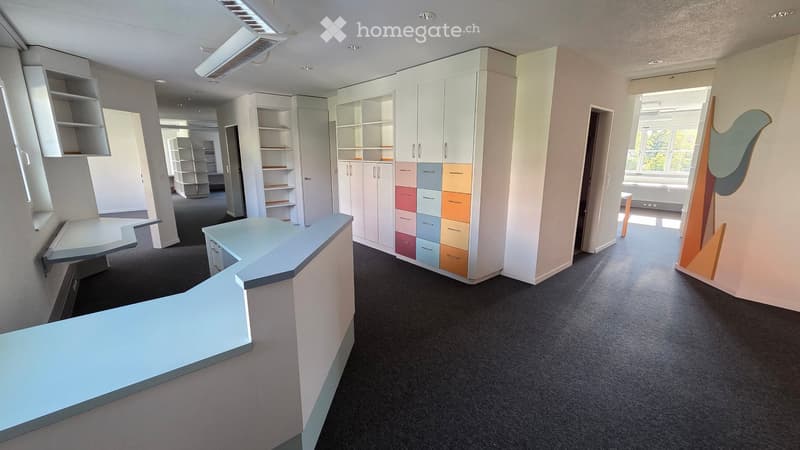 Modern office space with white cabinets, shelves, and a reception desk.