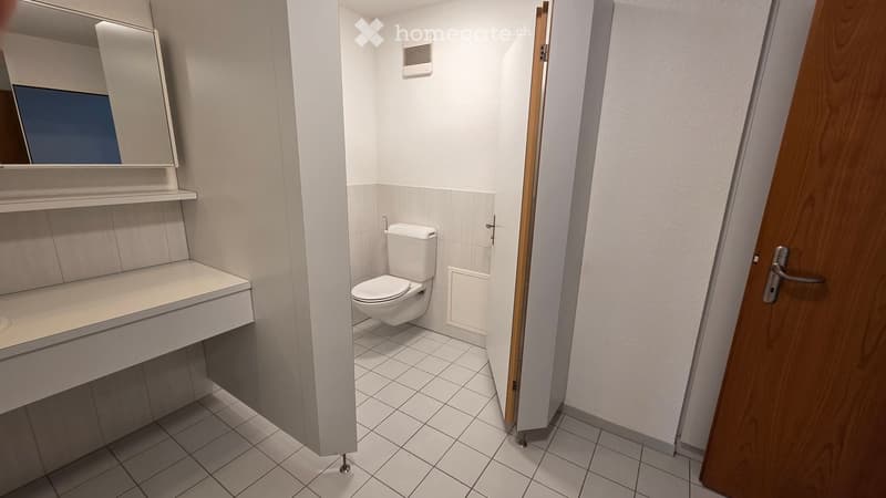 Modern bathroom with white tiled walls and floor, a toilet, a sink with a mirror, and a wooden door.