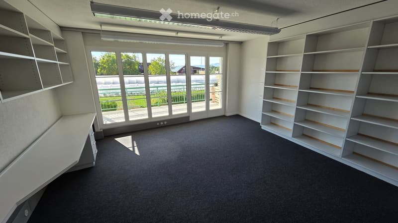 Empty room with built-in white shelving units, large windows, and a grey carpeted floor.