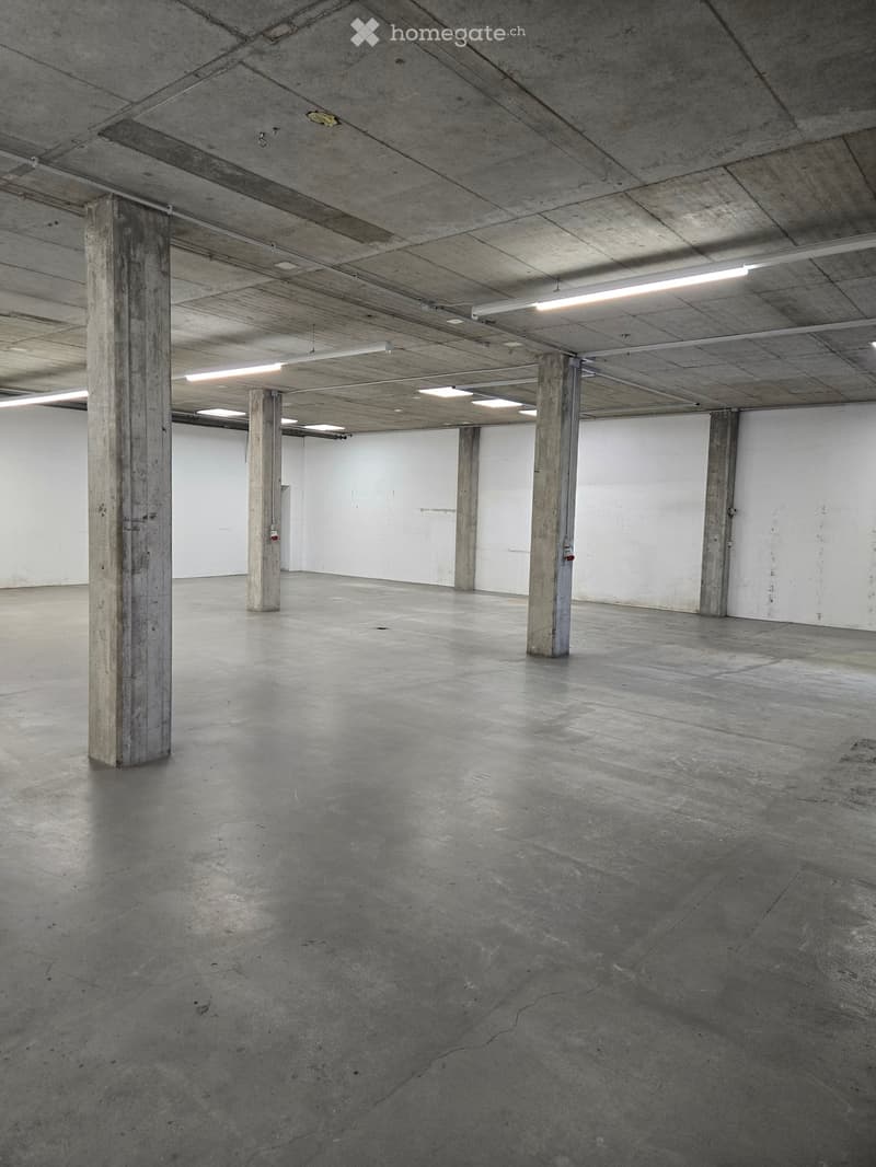 Empty industrial-style room with concrete floors, walls, and pillars, illuminated by linear ceiling lights.