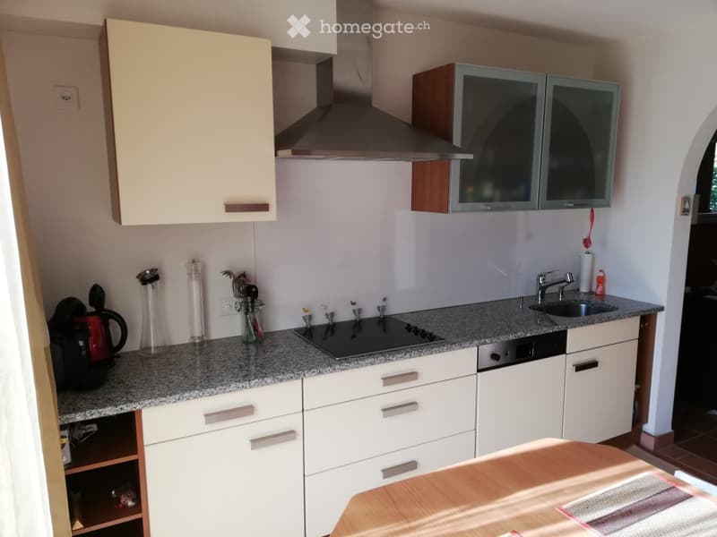 {"visible_features": ["Dishwasher"], "type": "Kitchen", "objects": ["faucet", "sink", "cabinets", "induction stove", "cupboard", "cup", "bottle", "cupboard", "cupboard", "cupboard", "cupboard", "cupboard", "cupboard", "cupboard", "cupboard", "cupboard", "