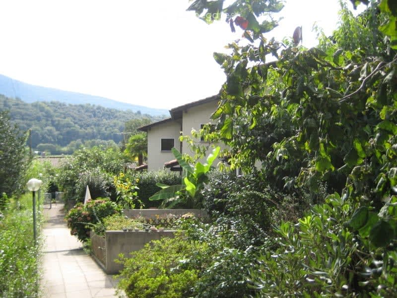 Lush garden with a pathway leading to a house, surrounded by greenery and trees, with a scenic mountain view in the background.