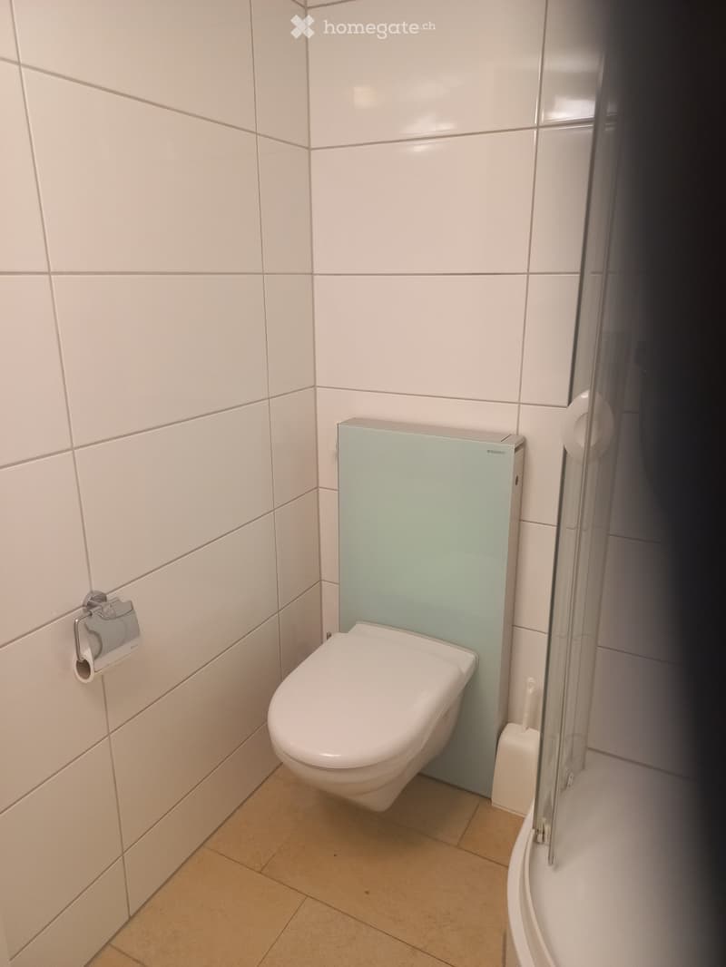 Modern bathroom with white tiled walls, a toilet, toilet paper holder, and a toilet brush. The floor is tiled in a light brown color.