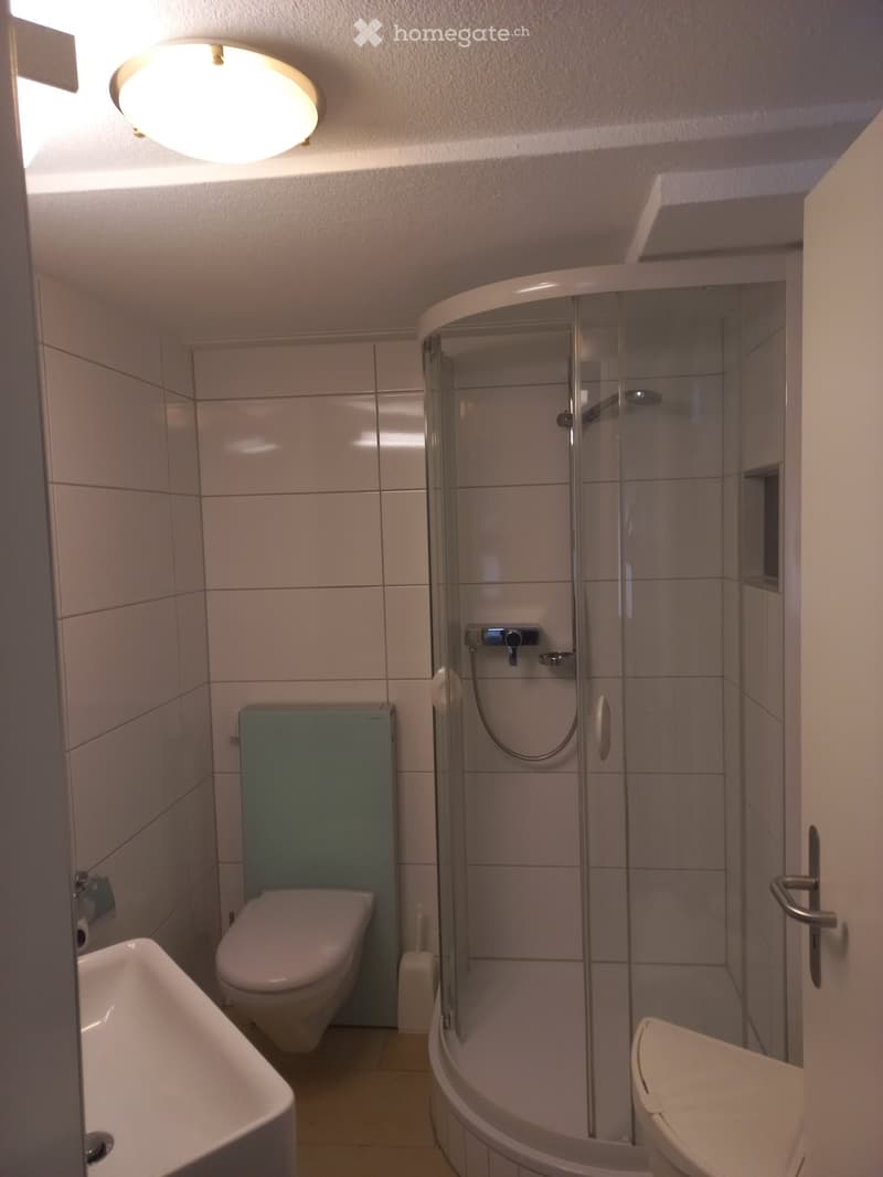Modern bathroom with a toilet, sink, and a glass-enclosed shower stall. Features tiled walls and a round ceiling light.