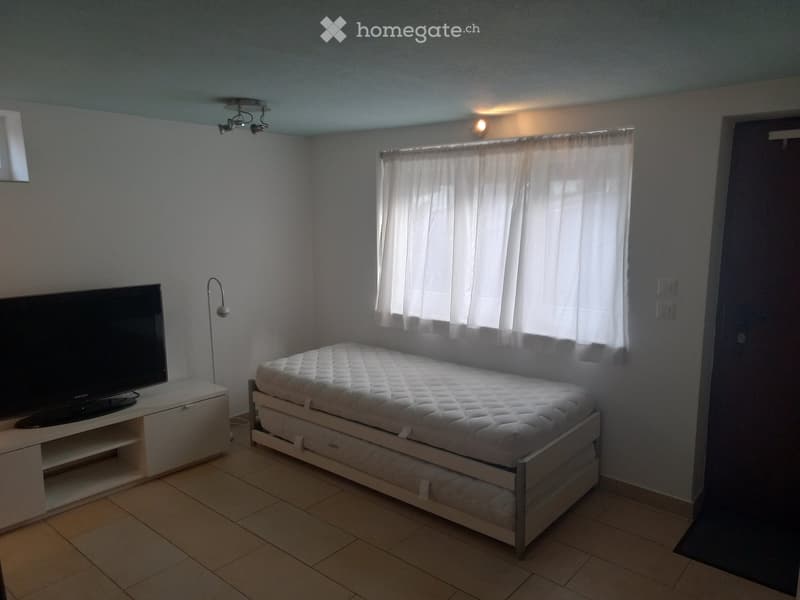 Bedroom with a single bed, TV on a stand, floor lamp, and large window with curtains.