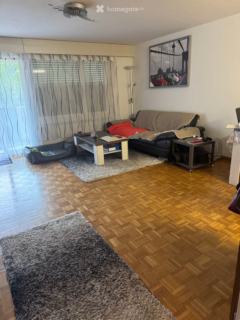 Living room with wooden herringbone flooring, a grey shaggy rug, a black leather sofa with red and grey cushions, a coffee table, a floor lamp, and a dog bed.