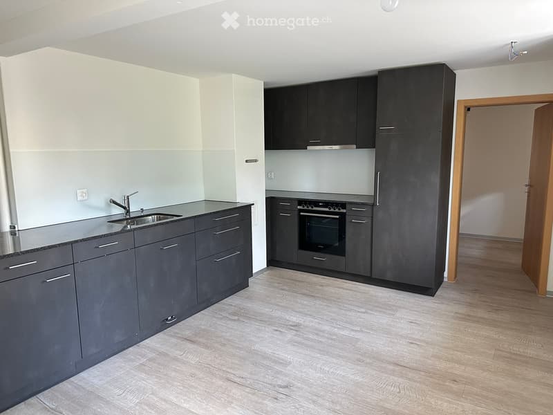 Modern kitchen with grey cabinets, a sink, and an oven. The space features light wooden flooring and a sleek, contemporary design.