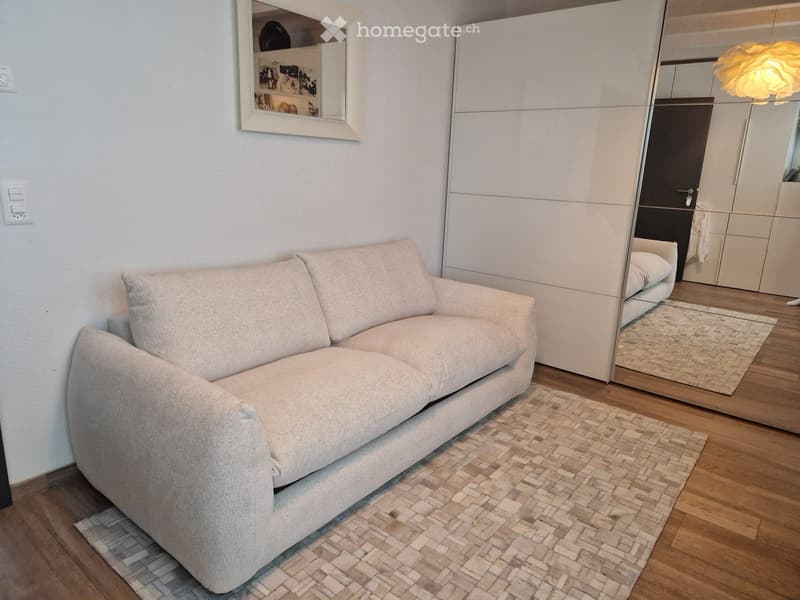 Modern living room with a light grey sofa, a large mirror, a wardrobe, and a decorative lamp.