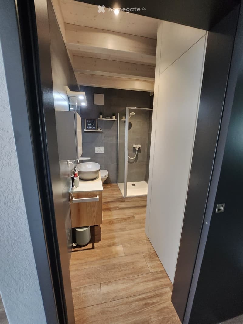 Modern bathroom with wooden flooring, a white sink, a toilet, a glass-enclosed shower, and a wooden cabinet.
