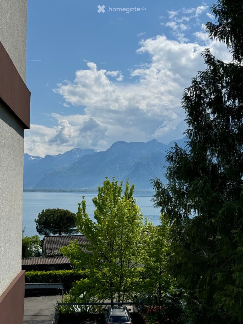 Balcony overlooking a scenic lake and mountain range, with trees and a parked car visible below.