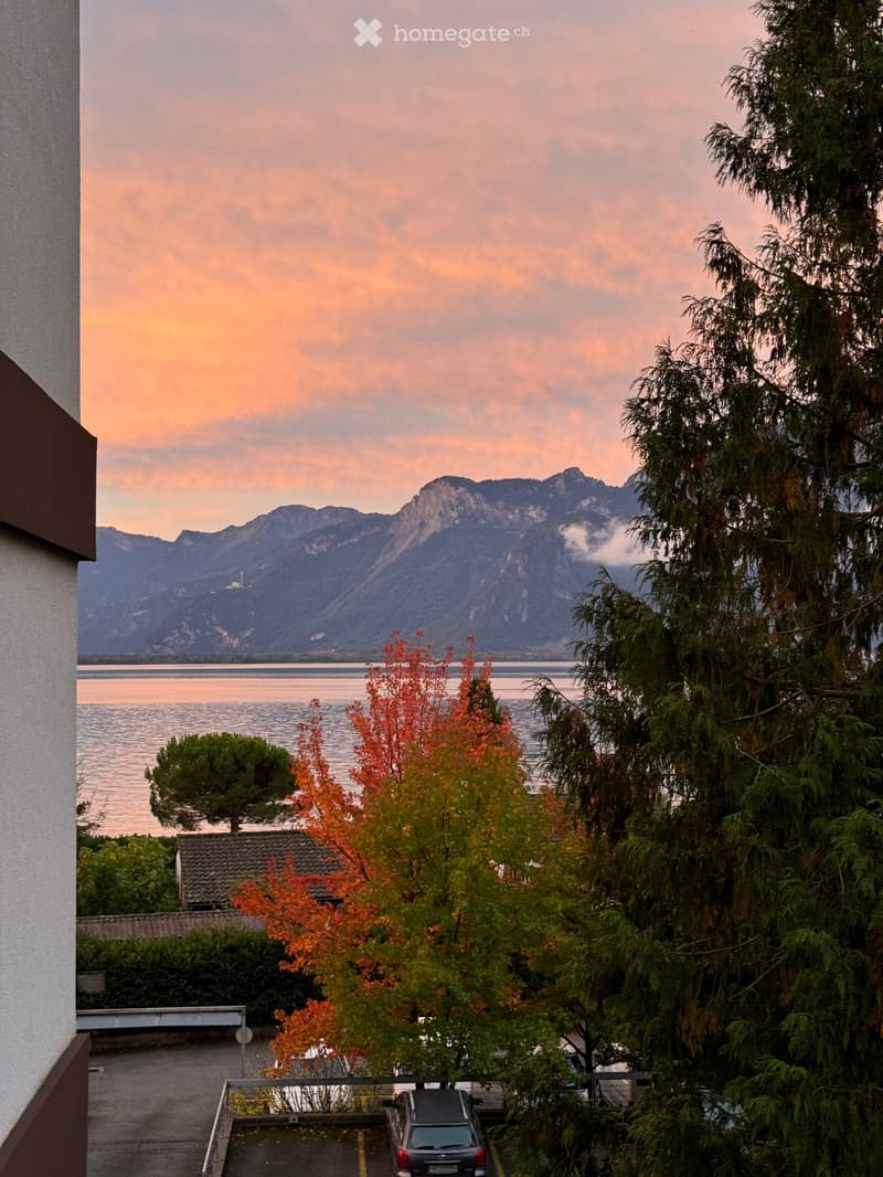 Balcony view overlooking a lake and mountains, with trees and a parked car visible.