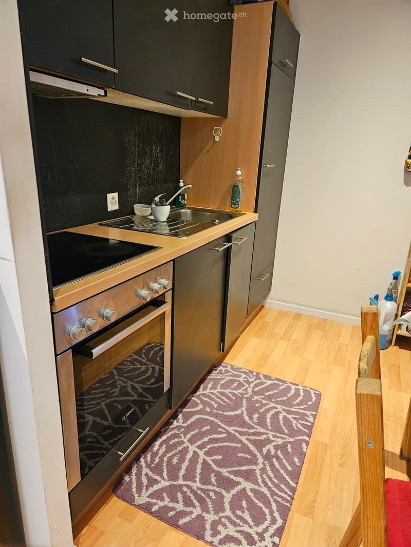 Modern kitchen with wooden cabinets, stainless steel oven, sink, and countertop. Includes a purple patterned rug on the floor.