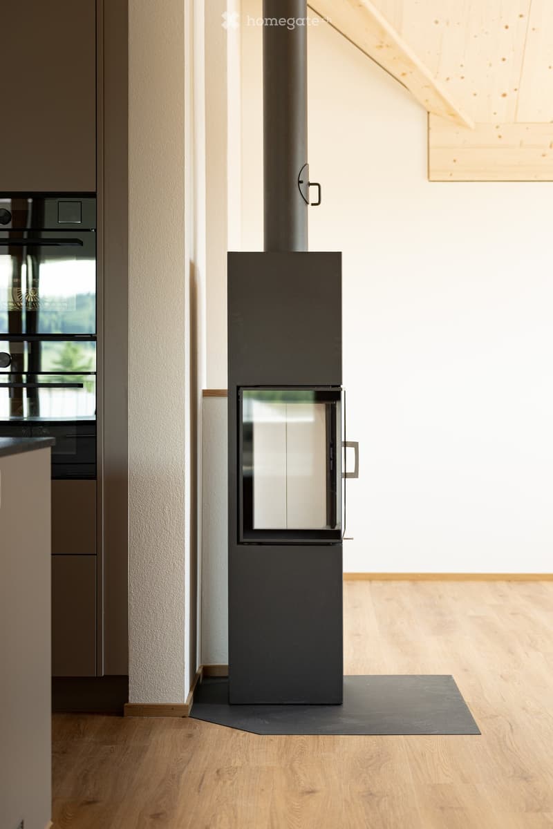 Modern hallway with wooden flooring, a sleek black fireplace, and a built-in oven in the background.