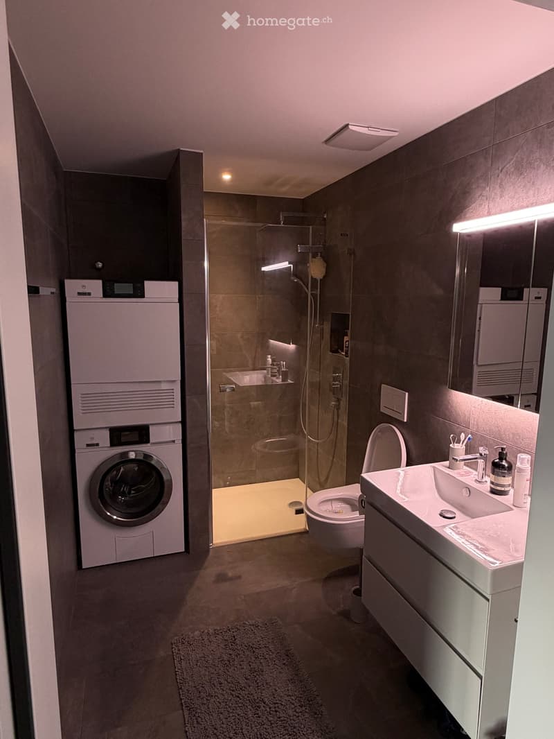 Modern bathroom with a glass-enclosed shower, toilet, sink, and a private washing machine. Features include a built-in mirror, a small shelf in the shower, and a soft, textured rug on the floor.