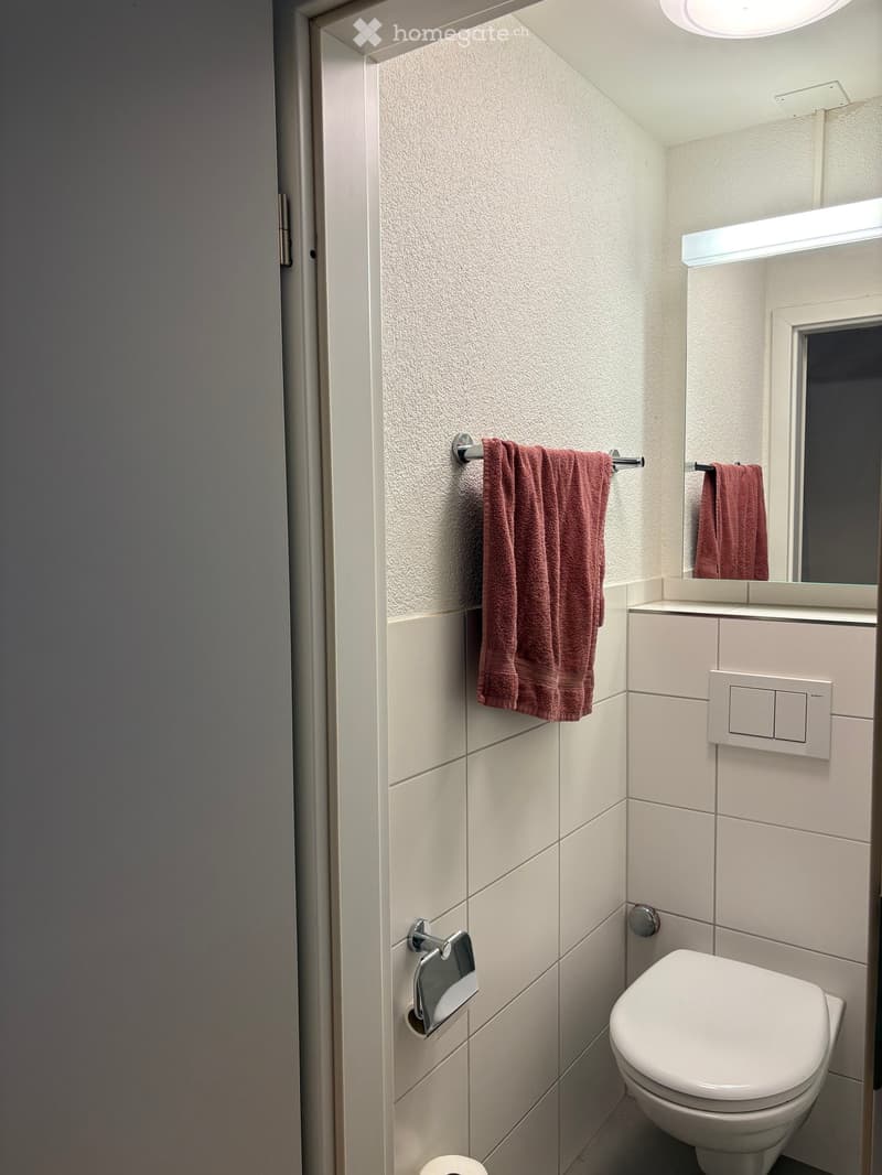 Modern bathroom with white tiles, a toilet, a towel rack with two towels, a mirror, and a light fixture above the mirror.