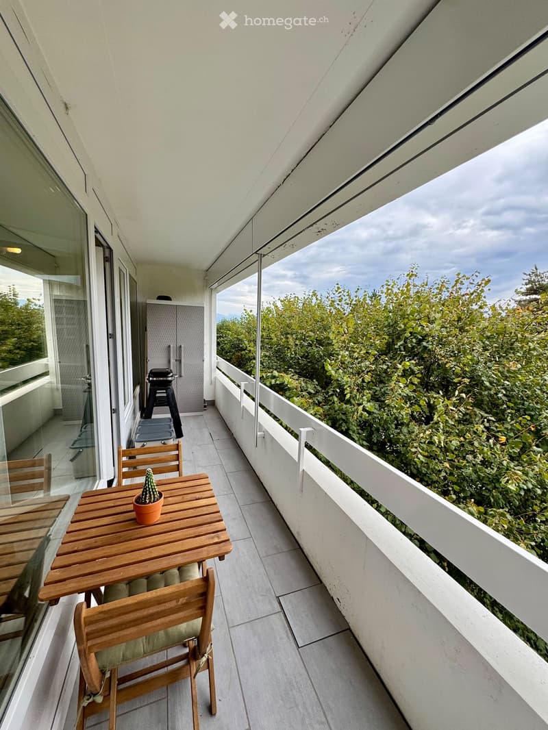 Balcony with wooden table, chairs, and a small cactus, overlooking a green landscape.