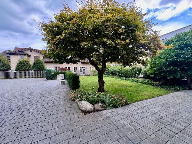 Well-maintained garden with a large tree, neatly trimmed hedges, a paved driveway, and a house in the background.