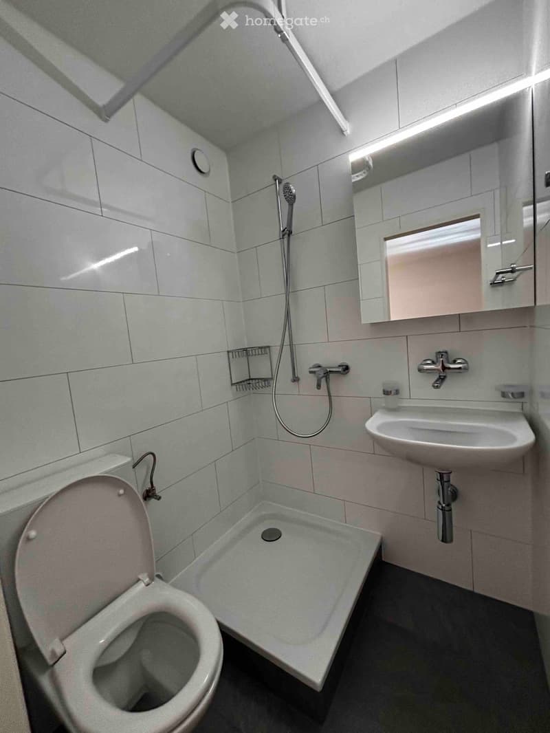 Modern bathroom with white tiles, a toilet, a sink, a shower, and a mirror.