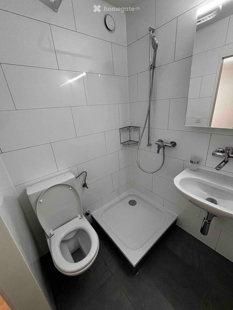 Modern bathroom with white tiles, a toilet, a sink, a shower area, and a shower rack.