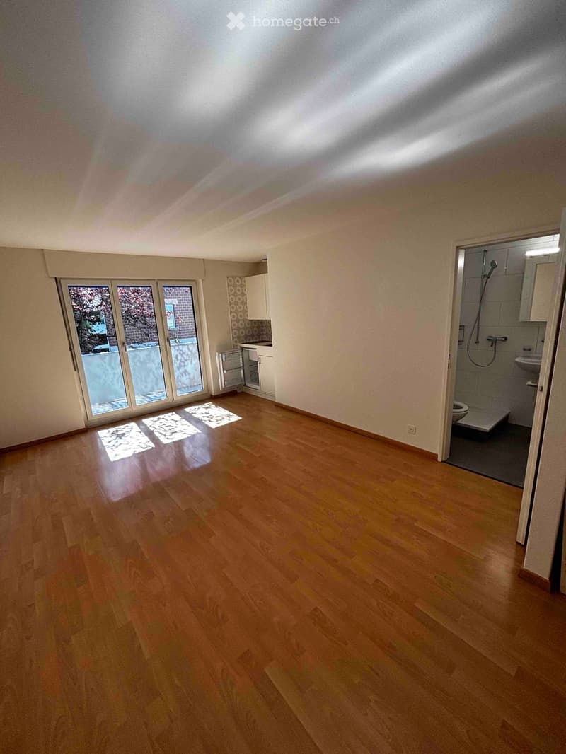 Empty room with wooden flooring, large windows, and a small bathroom area visible in the background.