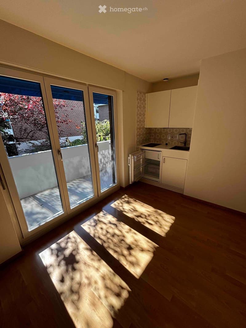 Empty room with wooden flooring, white cabinets, and large glass doors leading to a balcony. No furniture or appliances are present.