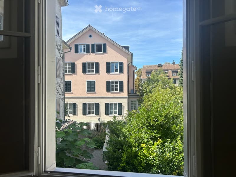 View from a window showing a garden area with various plants and shrubs, and a neighboring pink house with multiple windows and shutters.