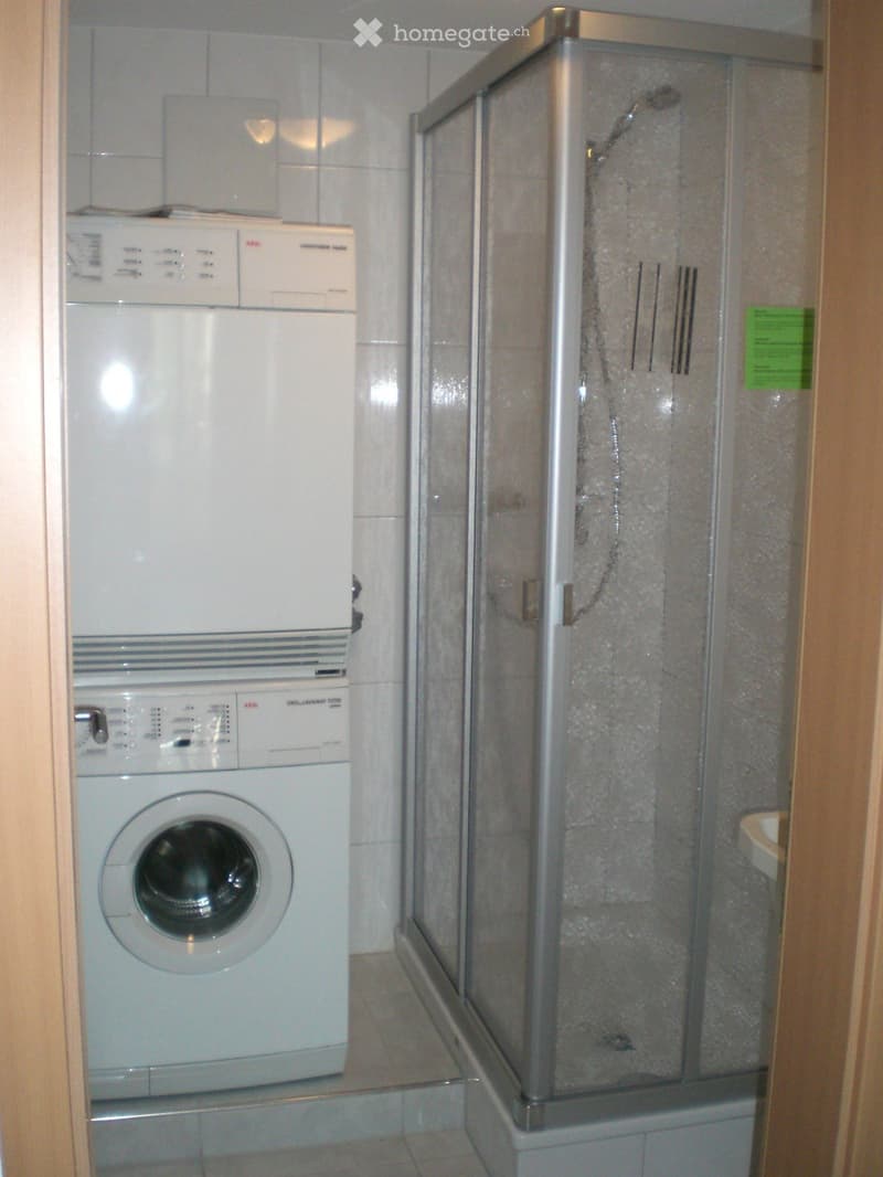 Bathroom with a washing machine and a glass-enclosed shower stall.