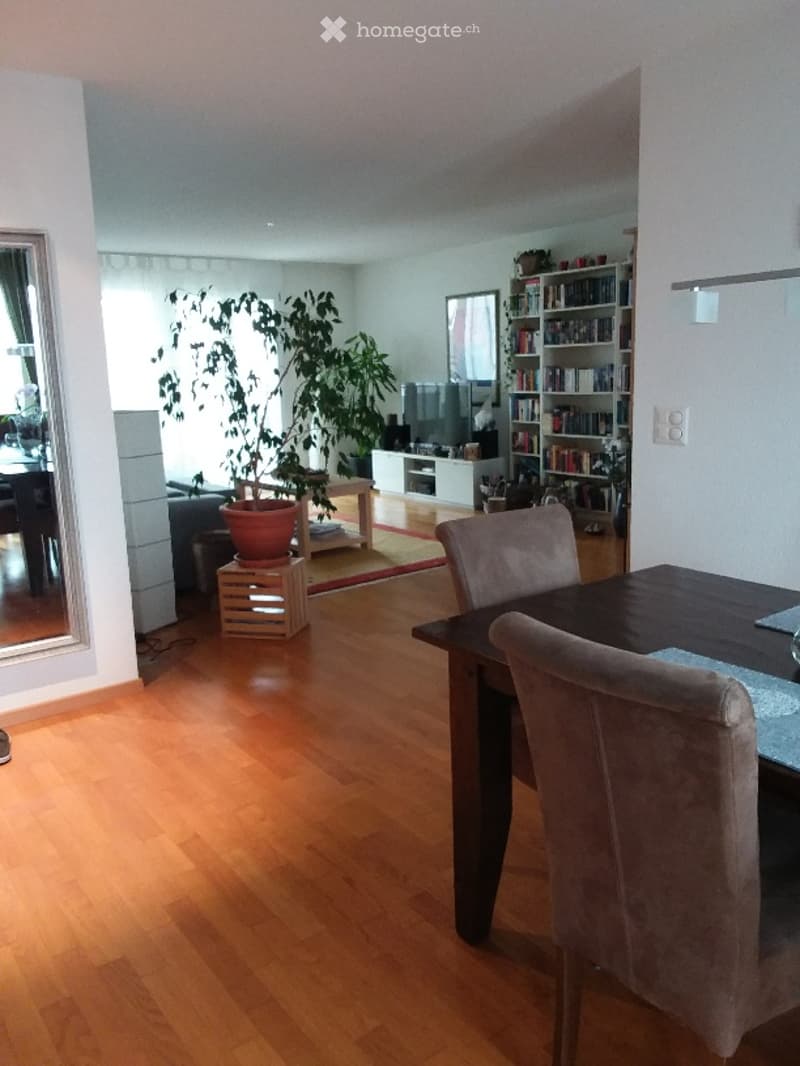A modern, open-concept living and dining area with wooden flooring, a large potted plant, a dining table with chairs, a bookshelf, and a television in the background.