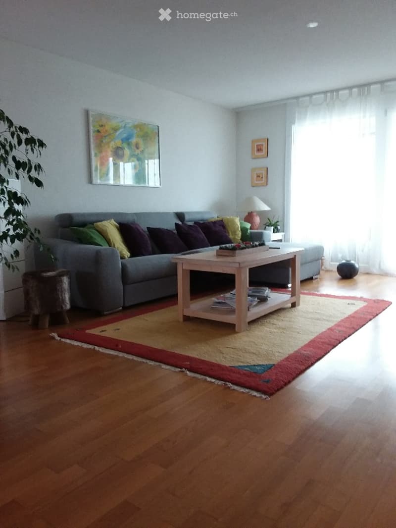 Modern living room with a grey sectional sofa, colorful cushions, a wooden coffee table, a floor lamp, and a large area rug on a wooden floor.