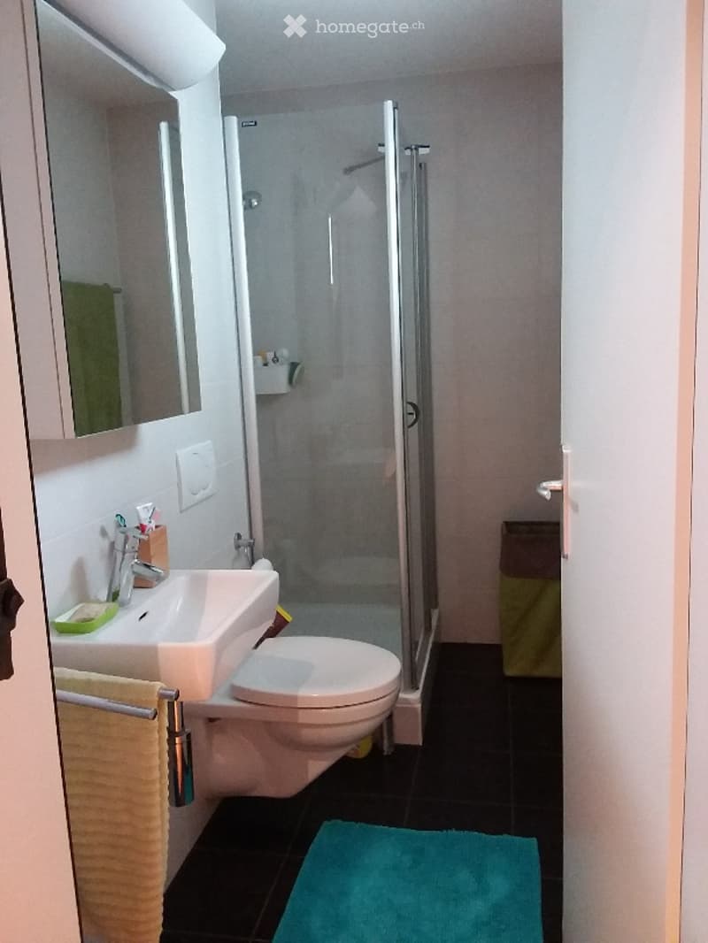 Modern bathroom with a white sink, mirror, toilet, and glass-enclosed shower. Features a black tiled floor, a green towel, and a blue bath mat.
