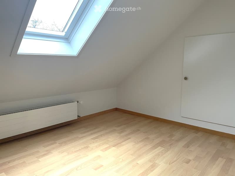 Romanshorn originelle Dachwohnung für Single (6)