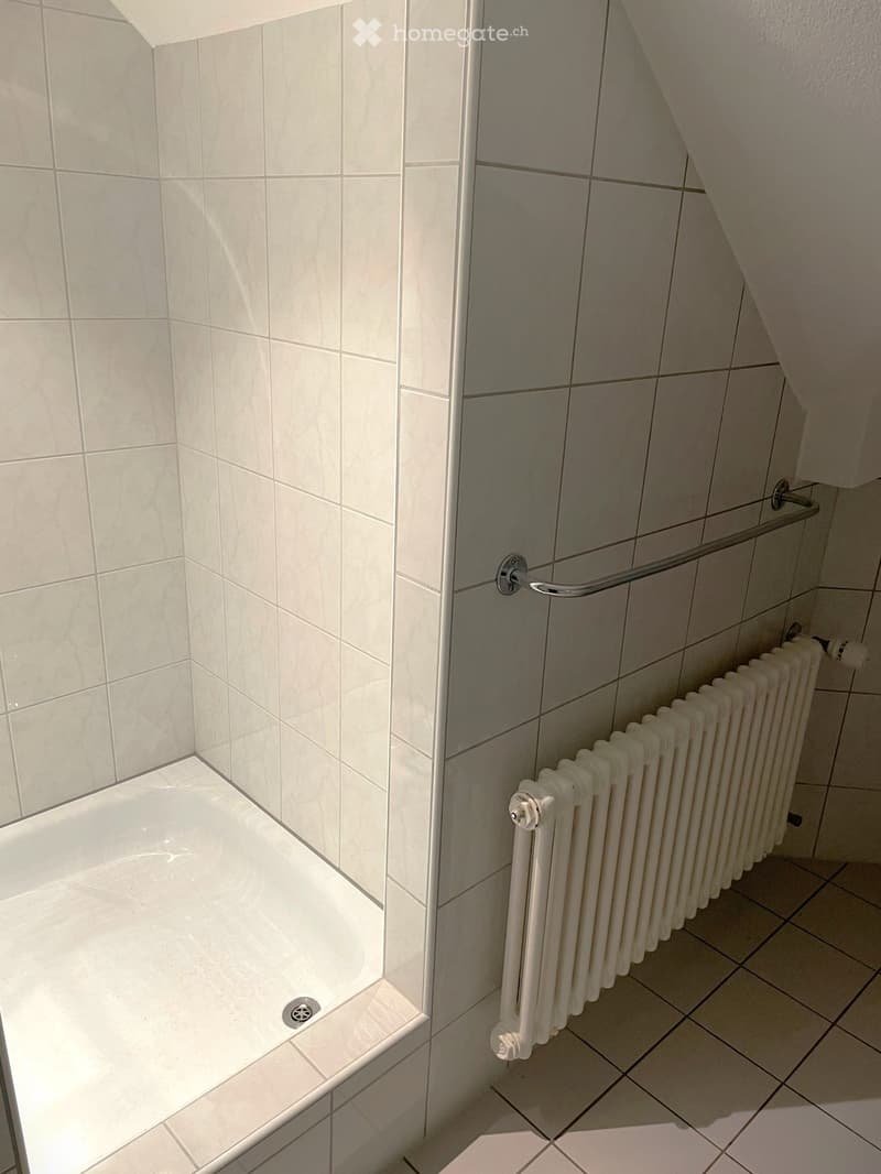 Romanshorn originelle Dachwohnung für Single (7)