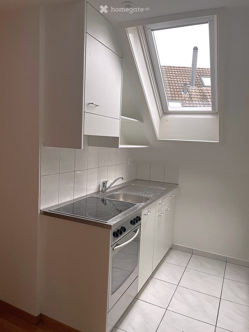 Romanshorn originelle Dachwohnung für Single (2)