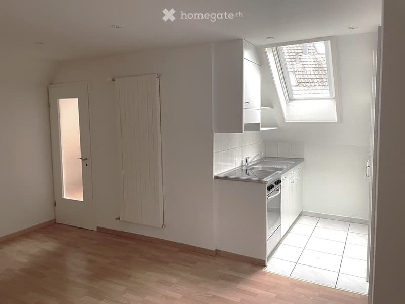 Romanshorn originelle Dachwohnung für Single (3)