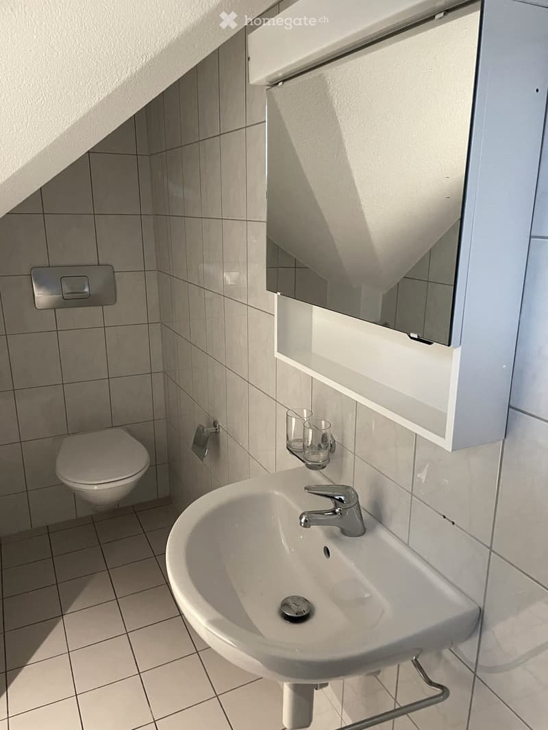 Romanshorn originelle Dachwohnung für Single (8)