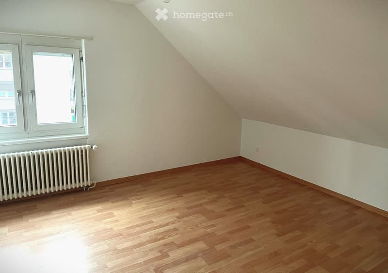 Romanshorn originelle Dachwohnung für Single (9)