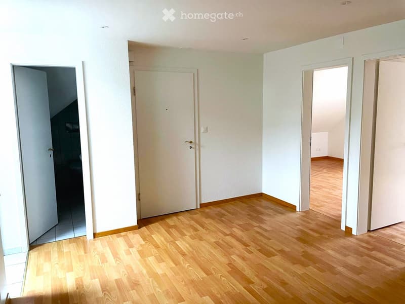 Romanshorn originelle Dachwohnung für Single (5)