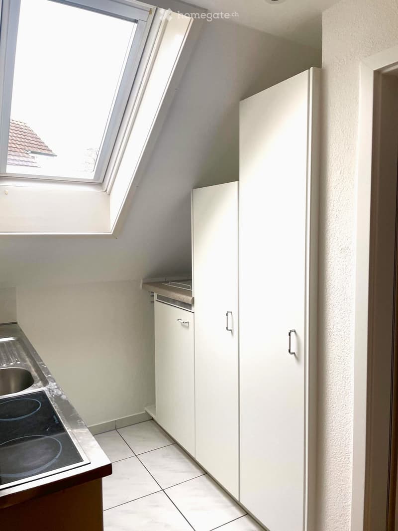 Romanshorn originelle Dachwohnung für Single (4)