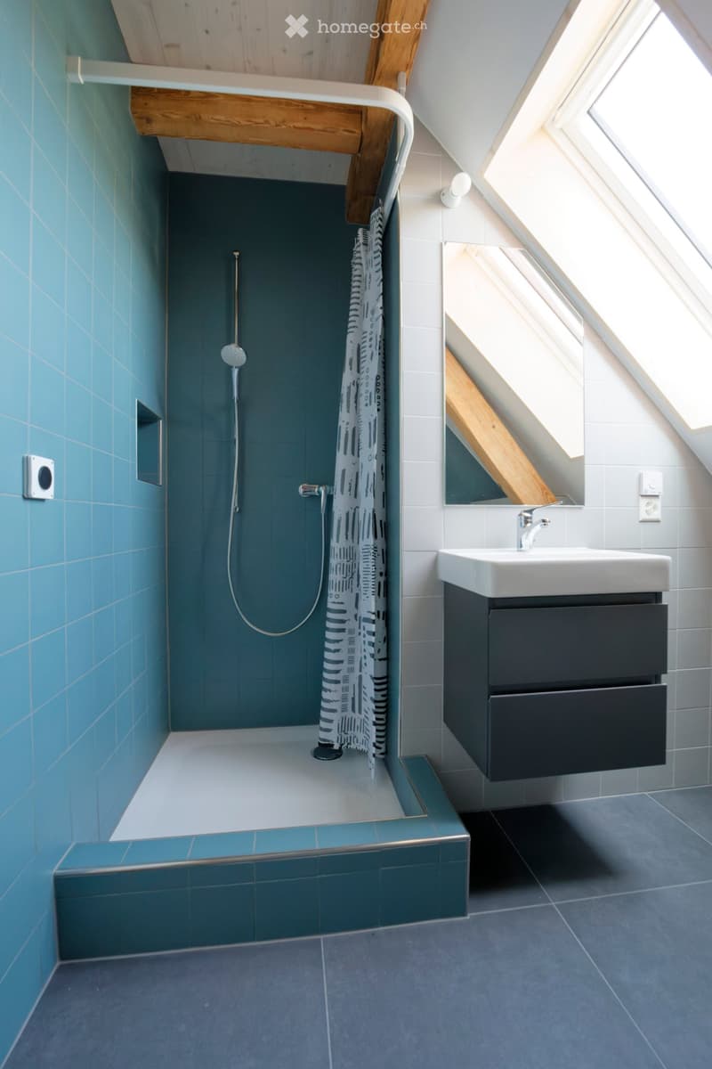 Modern bathroom with a stand-up shower, white sink, dark grey cabinet, and a large mirror. The shower area has blue tiles and a glass shower curtain.