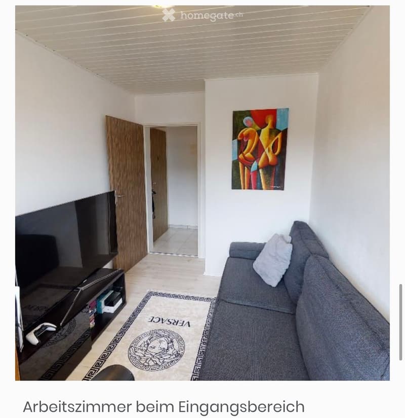 A modern living room with a grey sofa, a flat-screen TV on a stand, a decorative rug, and an abstract painting on the wall. The room has white walls and a wooden door leading to another space.