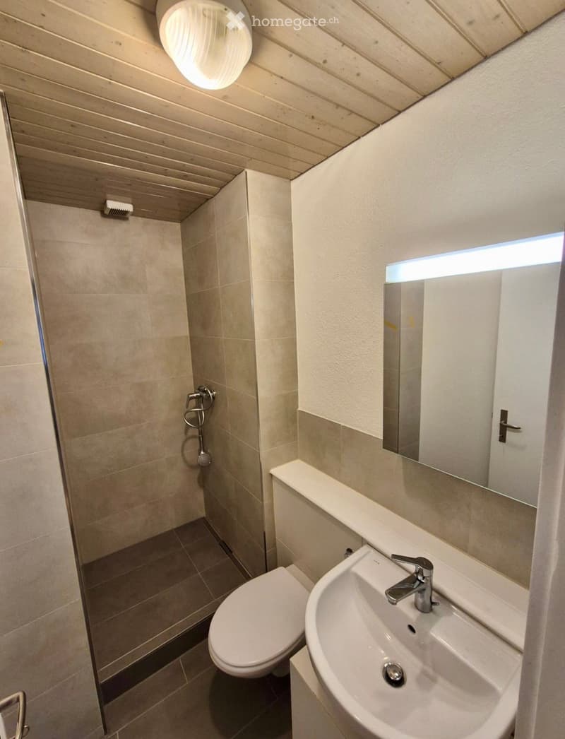 Modern bathroom with a toilet, sink, mirror, and shower area. Light-colored tiles and wooden ceiling.
