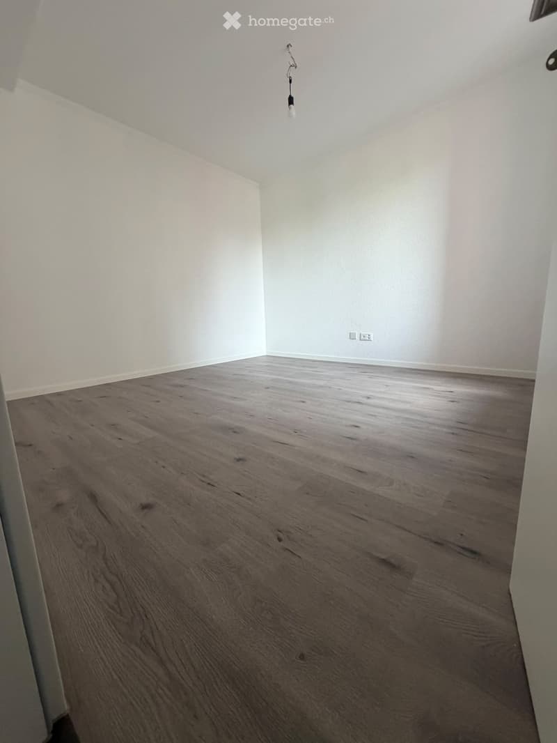 Empty room with light-colored walls and a wooden floor, featuring a single hanging light fixture.