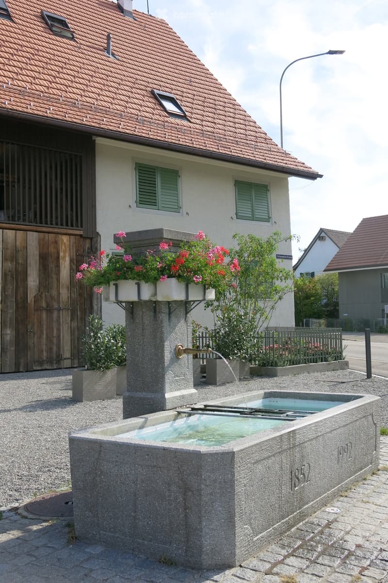 A stone fountain with flowing water, surrounded by greenery and flowers, with a house in the background featuring a wooden garage and green shutters.