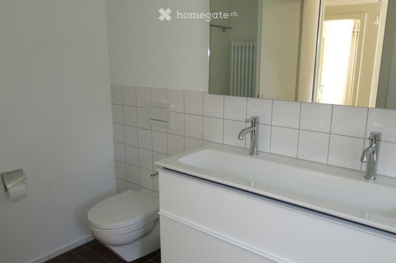 Modern bathroom with a white sink, chrome faucets, a toilet, a large mirror, and a toilet paper holder.