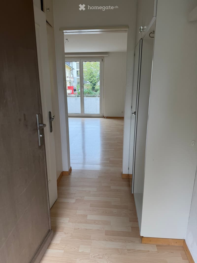 Empty hallway with light wooden flooring, white walls, and a glass door leading to an outdoor area.