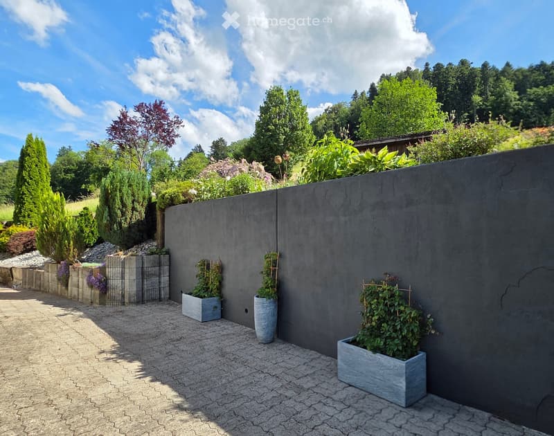 Modern garden area with a grey concrete wall, potted plants, and a paved pathway.