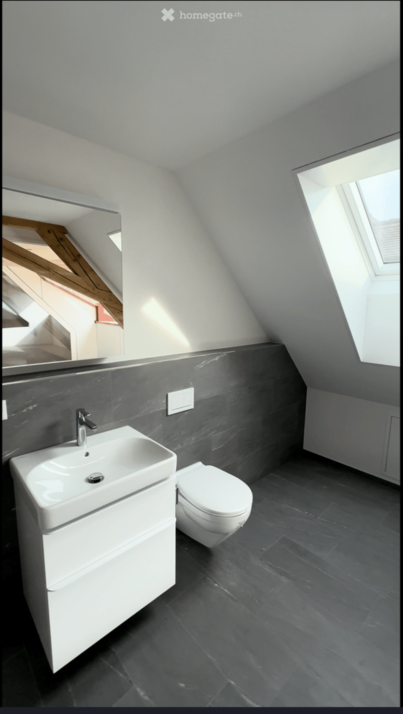 Modern bathroom with a white sink, toilet, and large mirror. Dark grey tiles on the floor and walls, with a skylight window providing natural light.