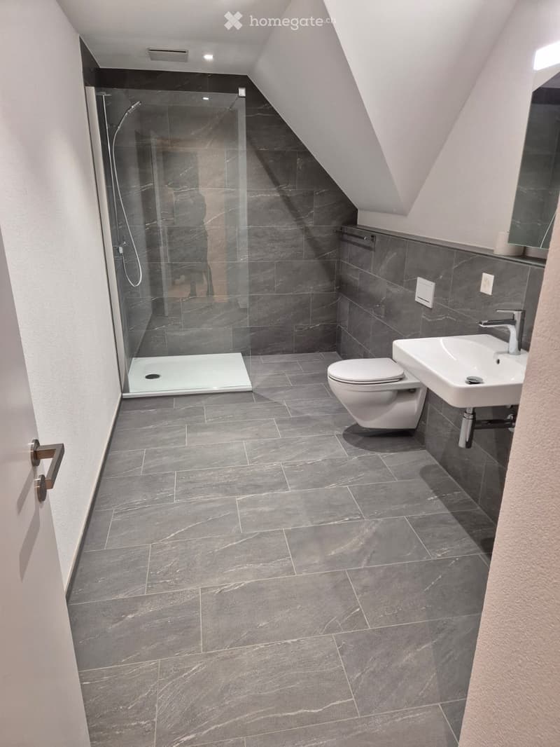 Modern bathroom with dark grey tiles, a glass-enclosed shower, a toilet, and a sink.