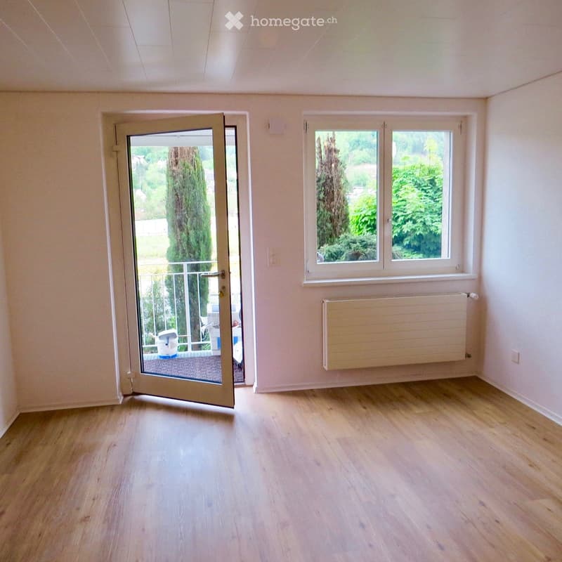 empty room, wooden floor, white walls, glass door, balcony, window, radiator